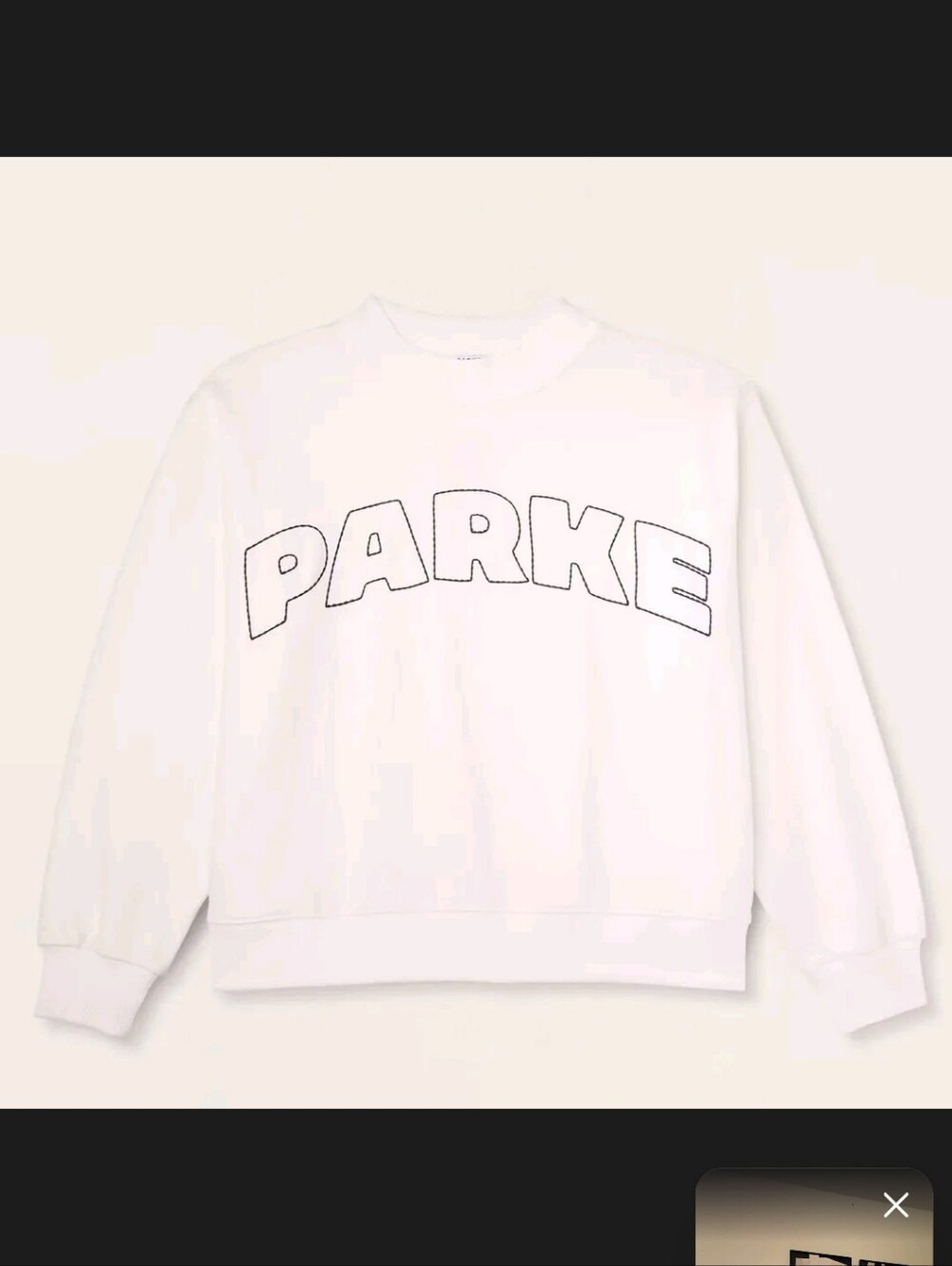 ❣️Parke Oversized Pullover In L/XL🌙